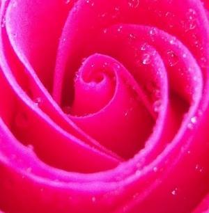 ARealPink from United States