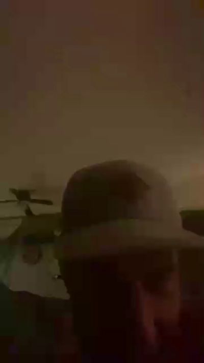 Meesenpapa1 from Netherlands