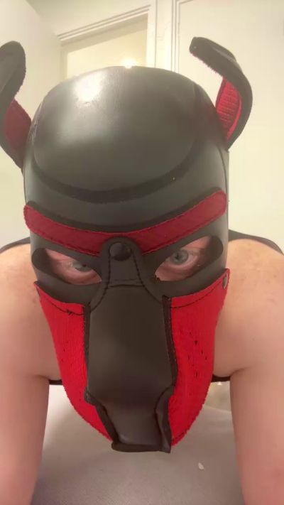 fuckpyppydog from Netherlands