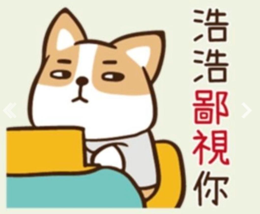 howhow22 from Taiwan