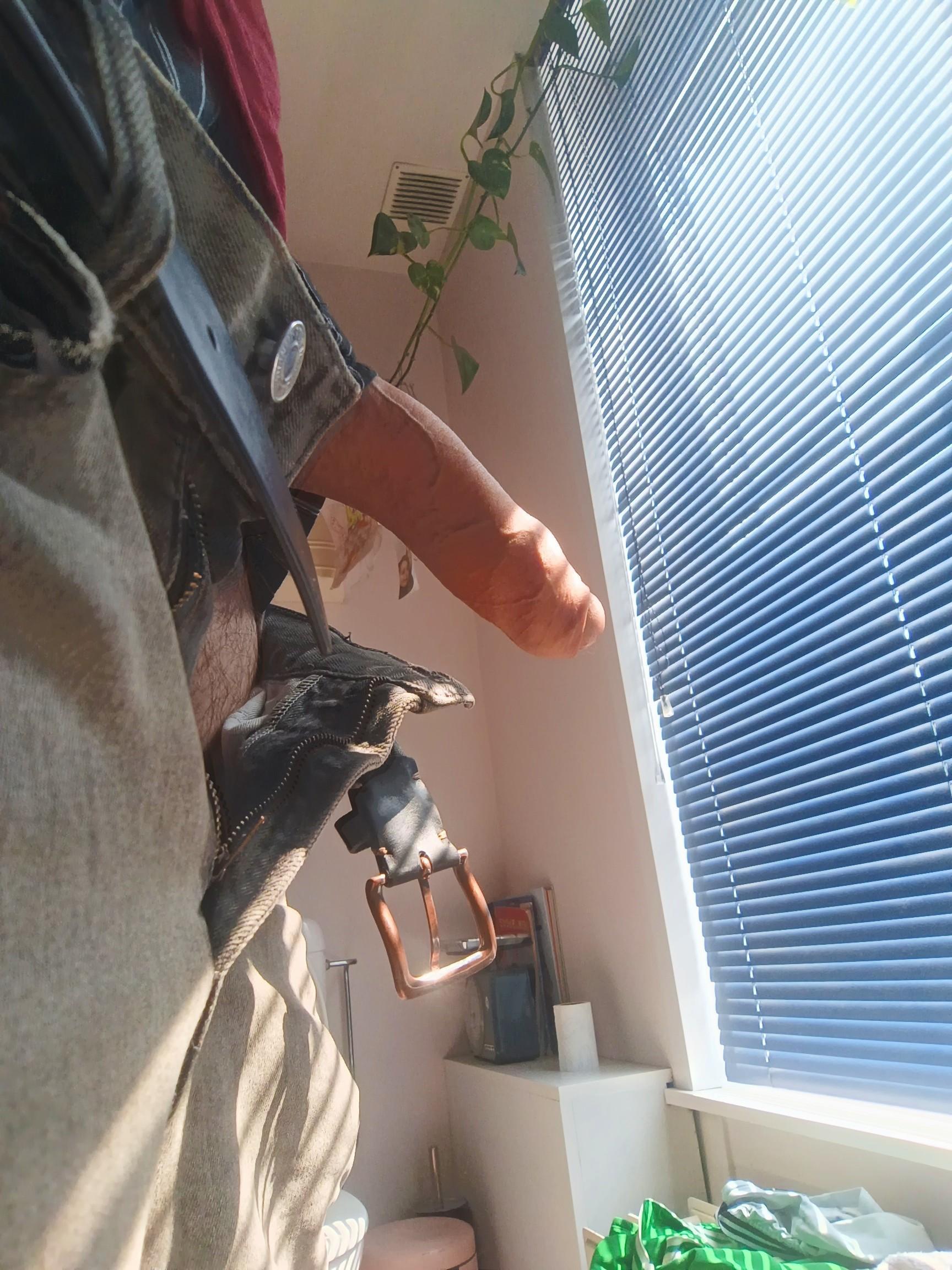 robinv from Belgium
