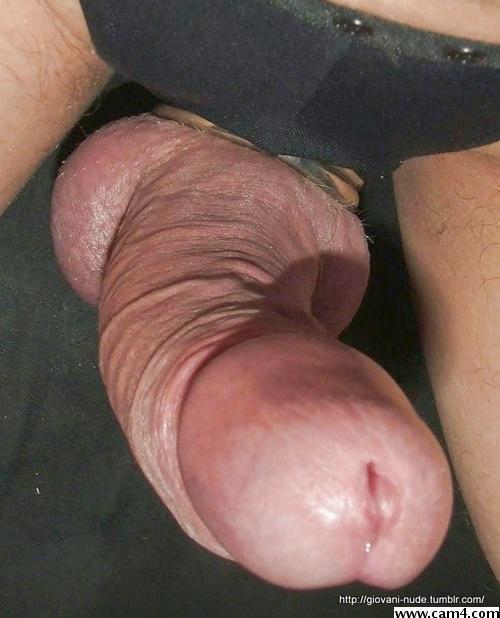 stallone212 from Italy