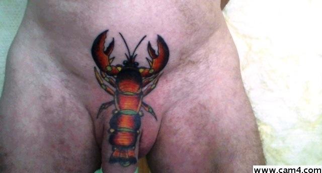 swingerboy49 from Australia